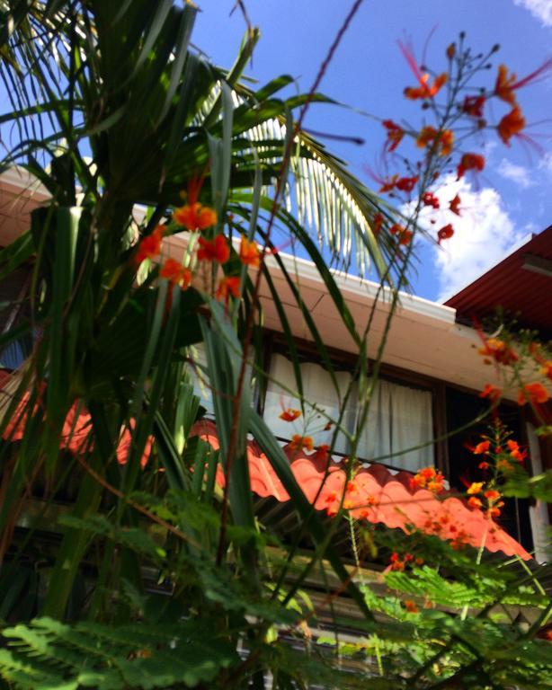 Flamingo Cabinas Otel Playa Flamingo Dış mekan fotoğraf